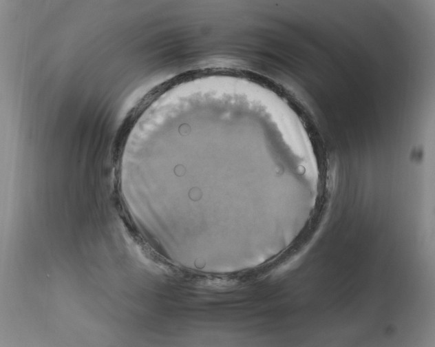 X0000113221117200910221119