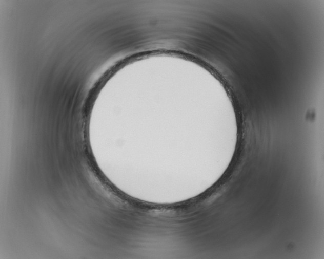 X0000113221118200910221119