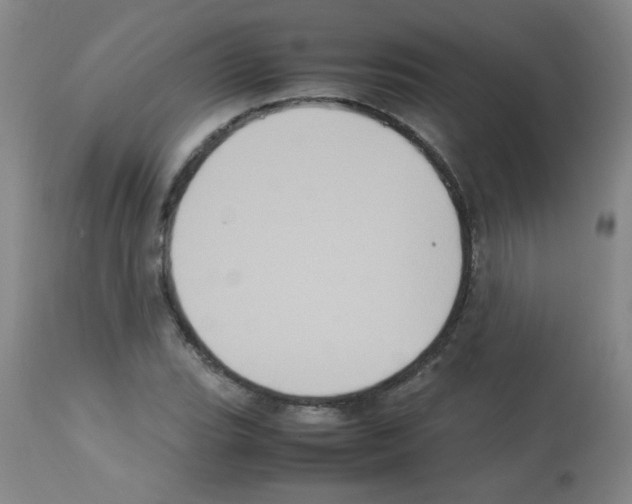 X0000113221119200910221119