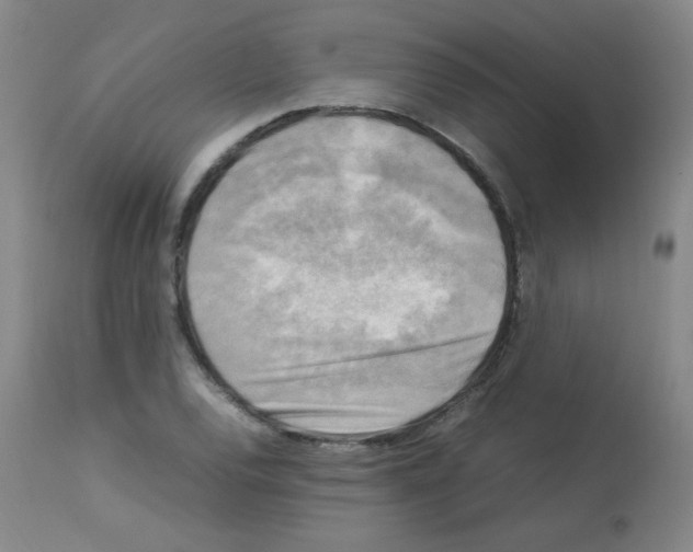 X0000113221120200910221119