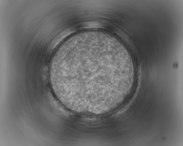 X0000113221121200910221119