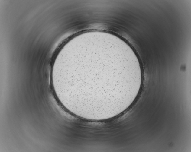 X0000113221123200910221119