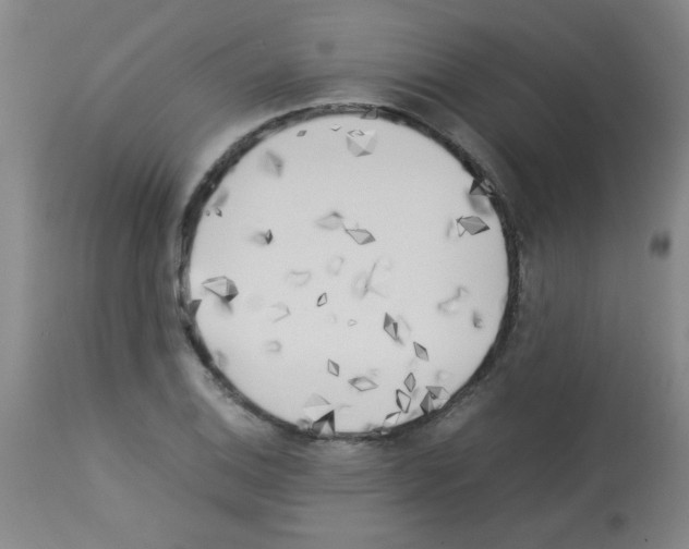 X0000113221124200910221119