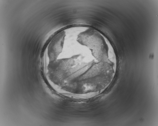X0000113221125200910221119