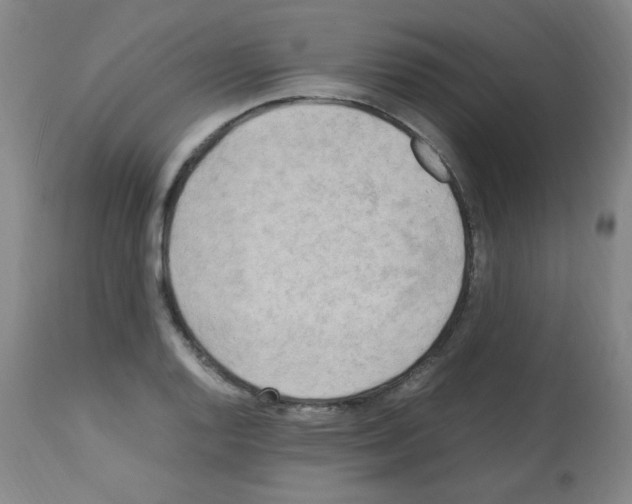 X0000113221128200910221119
