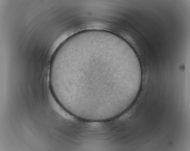 X0000113221130200910221119