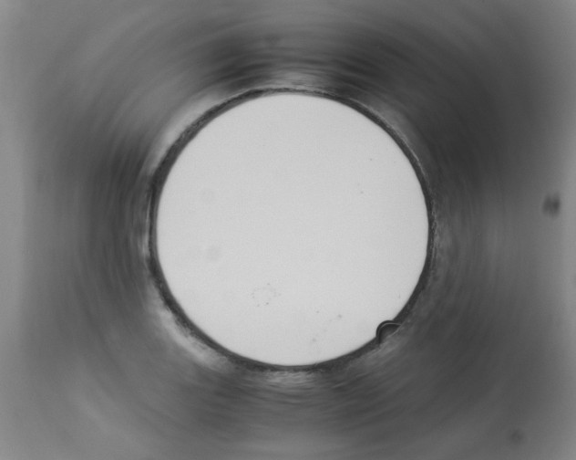 X0000113221131200910221119