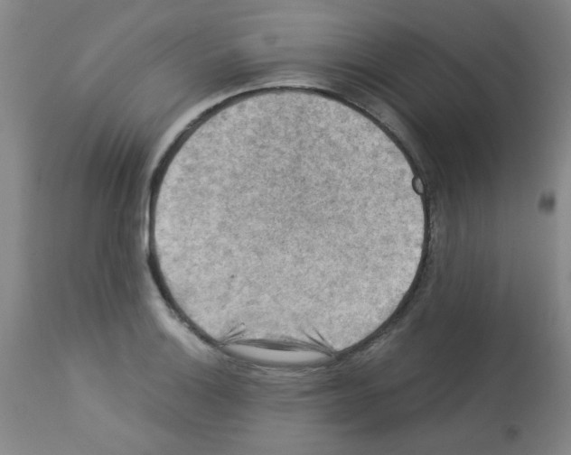 X0000113221132200910221119