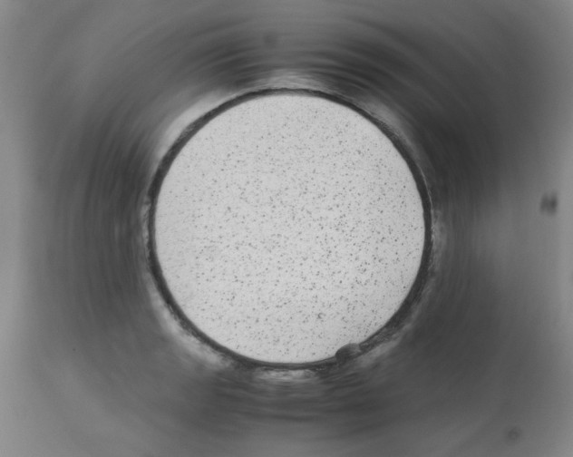 X0000113221133200910221119