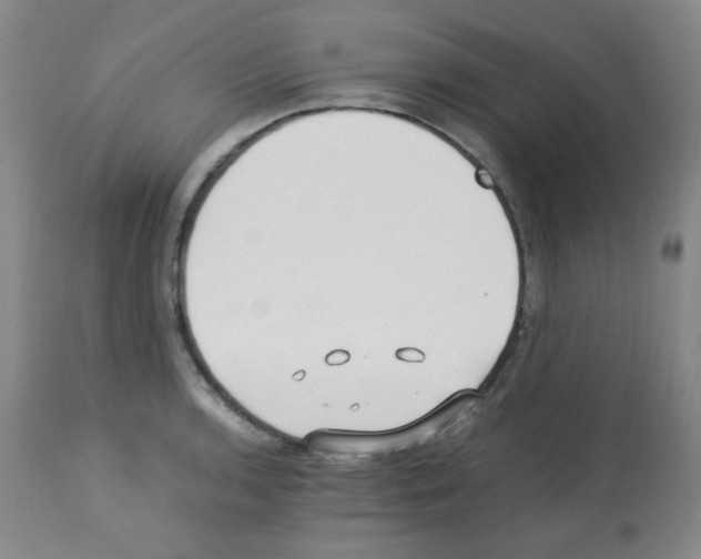 X0000113221136200910221119