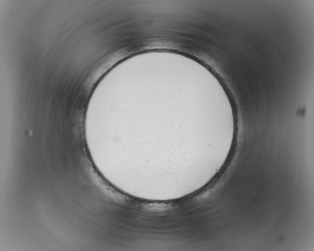 X0000113221137200910221119