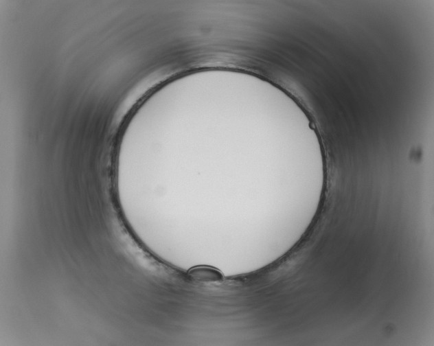 X0000113221138200910221119