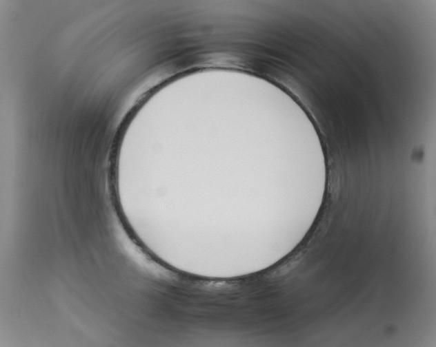 X0000113221139200910221119