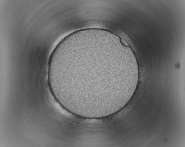 X0000113221140200910221119
