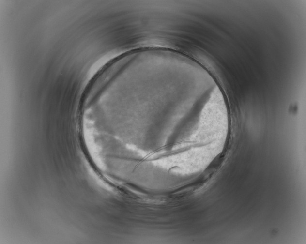 X0000113221141200910221119