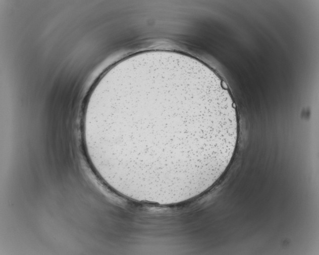 X0000113221142200910221119