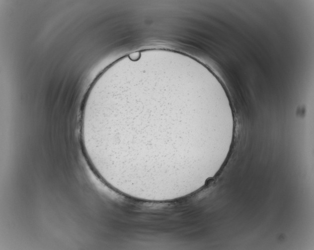 X0000113221143200910221119
