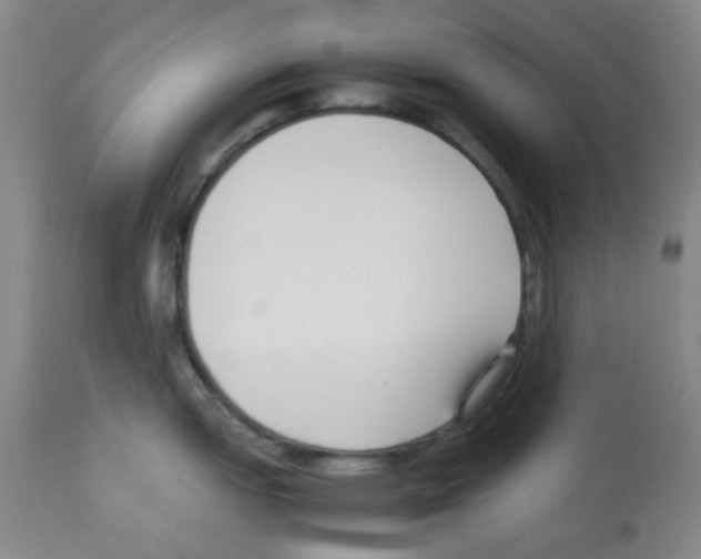 X0000113221151200910221119