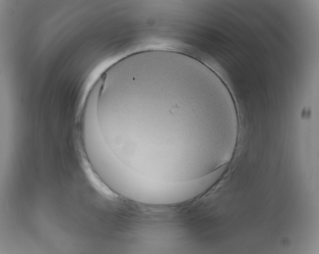 X0000113221152200910221119