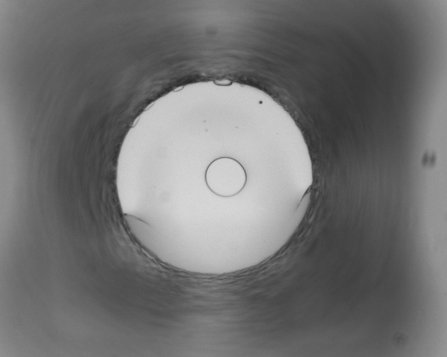 X0000113221153200910221118