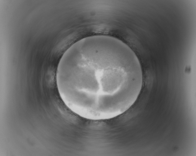 X0000113221154200910221118