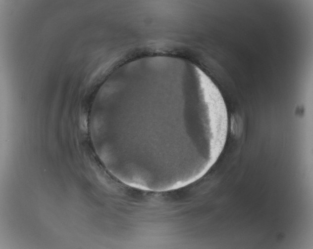 X0000113221155200910221118