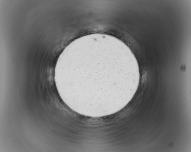 X0000113221156200910221118