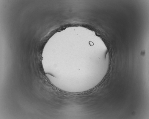 X0000113221157200910221118