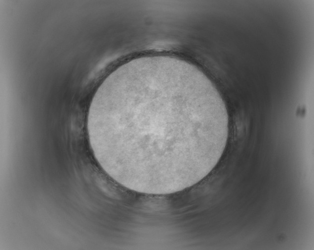 X0000113221158200910221118