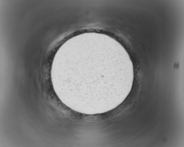 X0000113221159200910221118