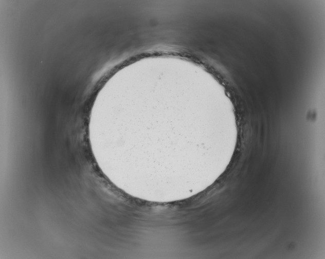 X0000113221160200910221118