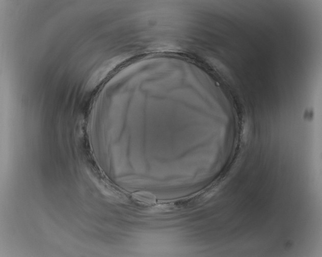 X0000113221161200910221118