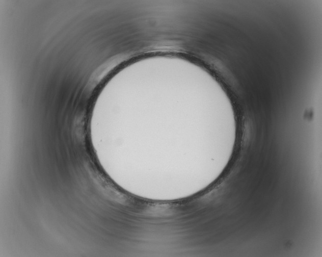 X0000113221162200910221118