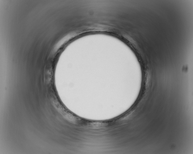 X0000113221163200910221118