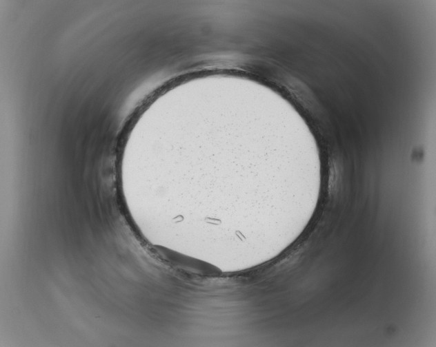 X0000113221164200910221118