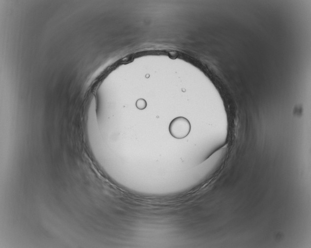 X0000113221165200910221118