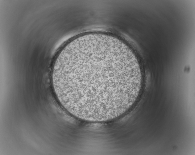 X0000113221166200910221118