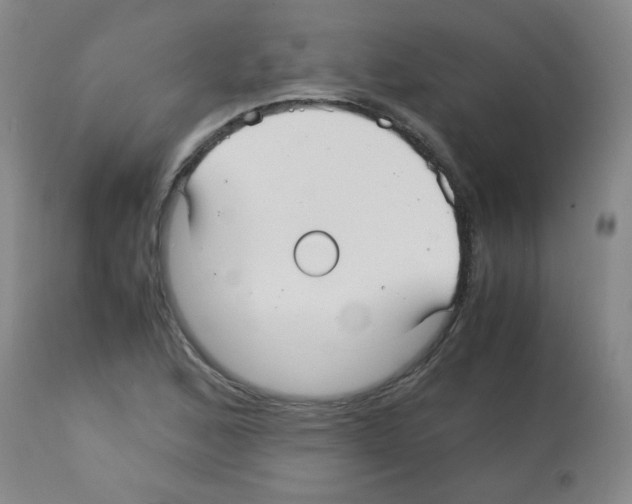 X0000113221168200910221118
