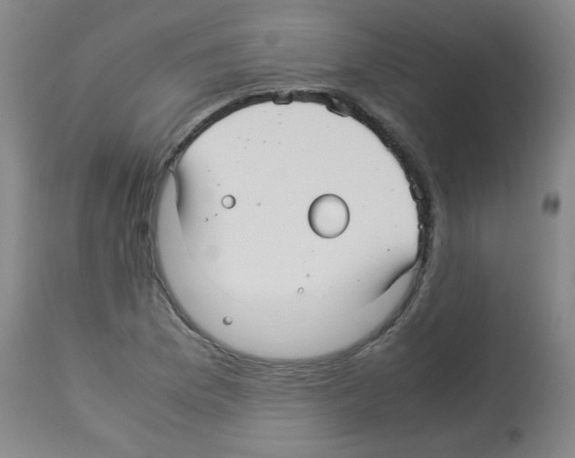 X0000113221169200910221118