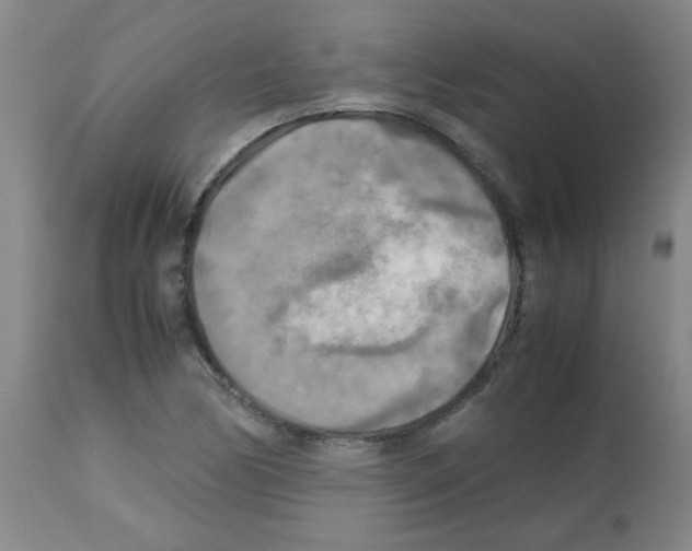 X0000113221170200910221118