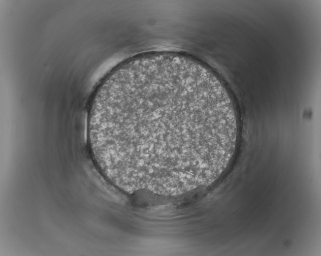X0000113221171200910221118