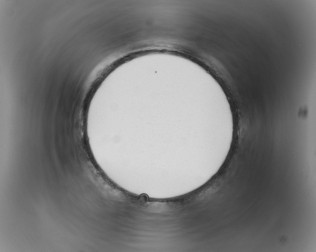 X0000113221172200910221118