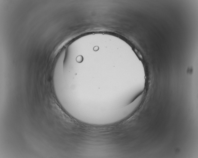 X0000113221173200910221118