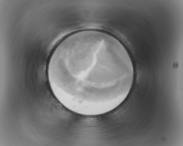 X0000113221174200910221118