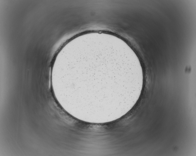 X0000113221175200910221118