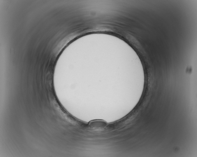 X0000113221177200910221118