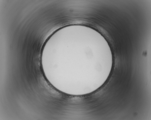 X0000113221178200910221118