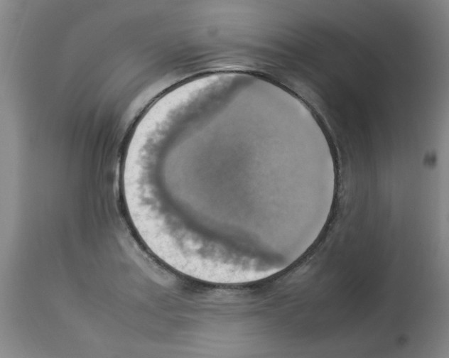 X0000113221179200910221118