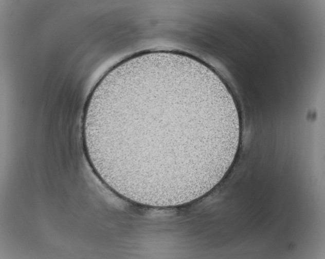 X0000113221183200910221118