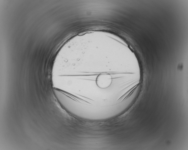X0000113221185200910221118
